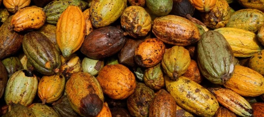 Los precios del cacao también subían en Nueva York. El contrato de septiembre...