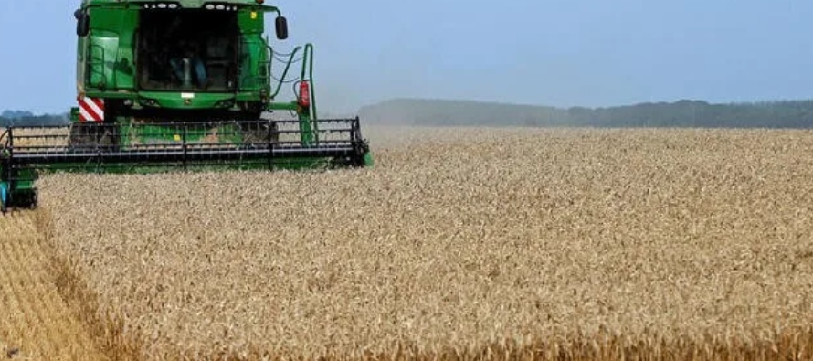 Las exportaciones de trigo blando de la Unión Europea entre el 1 y el 9 de julio ascendieron...