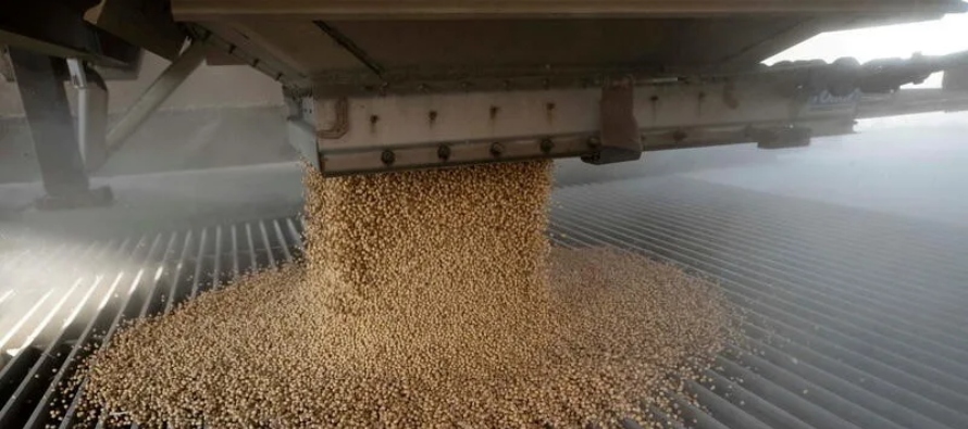 La cosecha de trigo de invierno estadounidense avanzó hasta el 56% a 16 de julio, por debajo...