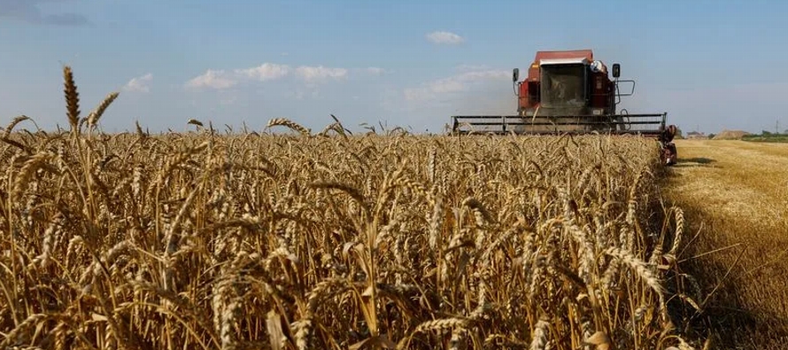 A las 1719 GMT, el trigo a septiembre en la CBOT subía a su límite diario de 60...