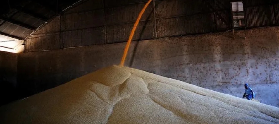 Según datos de Secex, Brasil exportó un total de 9,9 millones de toneladas de soja en...