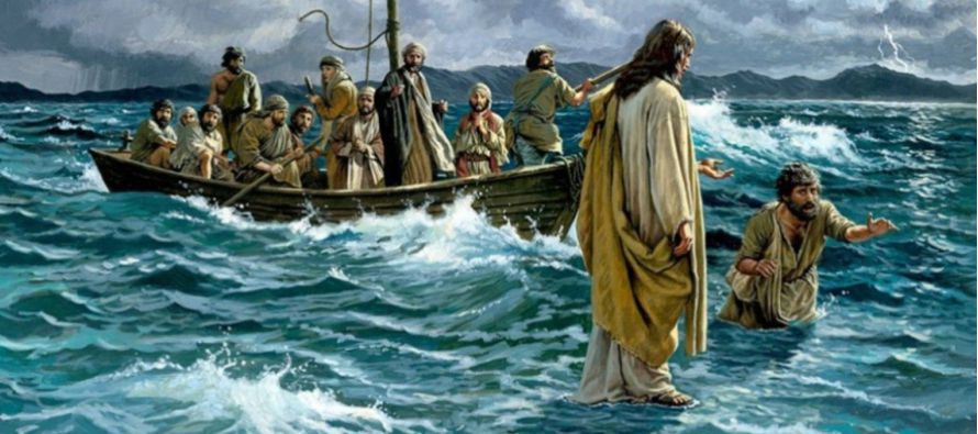 Y los que estaban en la barca se postraron ante él diciendo: «Verdaderamente eres Hijo...