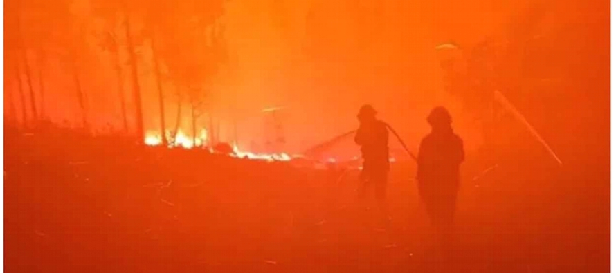 Actualmente hay desplegados más de un millar de bomberos que luchan contra las llamas en...