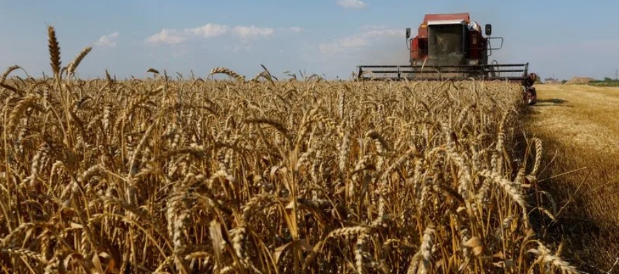 * Los futuros de maíz de diciembre de CBOT bajaban 6,5 centavos, a 5,3975 dólares el...
