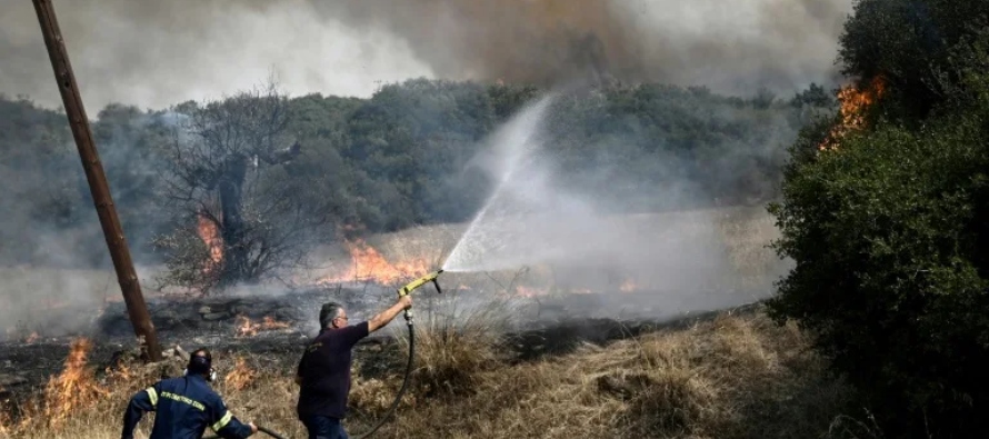 El martes, el gobierno anunció también medidas para reforestar las zonas quemadas, y...
