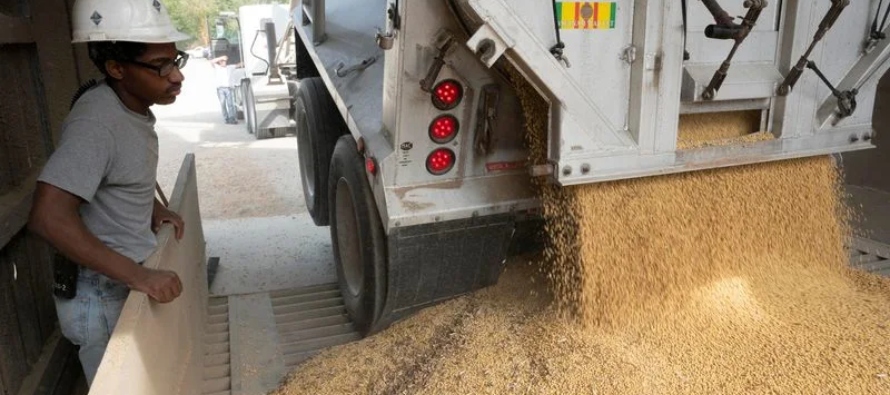 Los analistas esperaban una producción de 15.008 millones de bushels de maíz y 4.157...