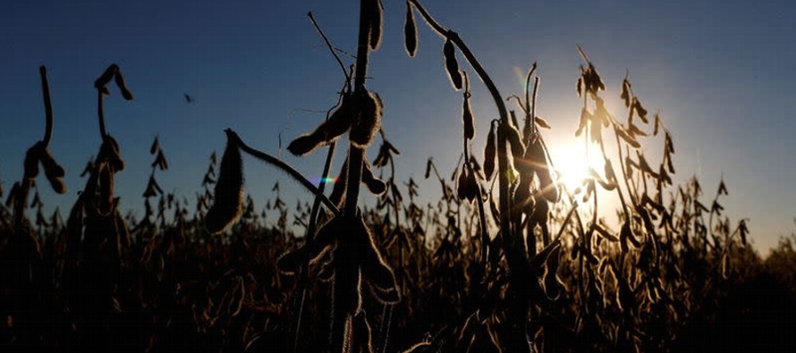 Hasta el 19 de octubre, los exportadores de harina de soja de Estados Unidos han vendido 5,5...