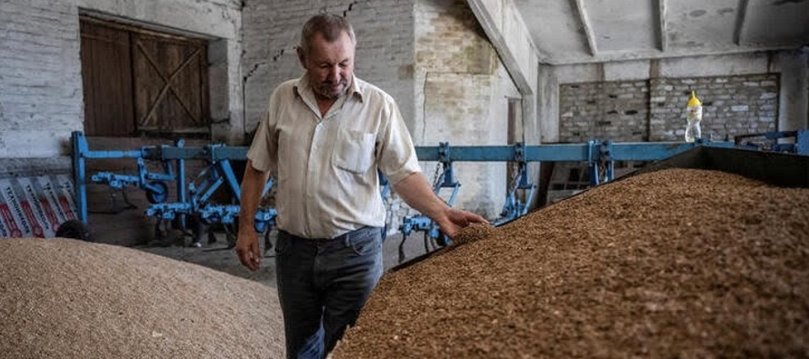 Ucrania exportó 2,1 millones de toneladas de cereales y 479,900 toneladas de aceites...
