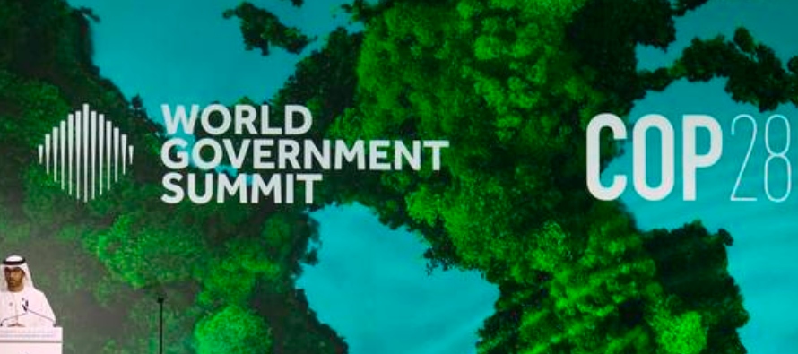 Como es de esperar en una cumbre centrada en el medio ambiente, hay muchos activistas ambientales...