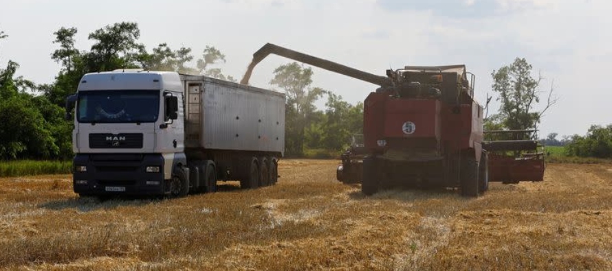 Se espera que Ucrania coseche 79 millones de toneladas de cereales y oleaginosas en 2023, con un...