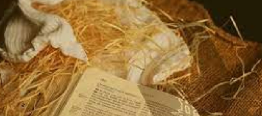 Conocer el Nuevo Testamento es acercarse a Jesús, encontrarse con una revelación...