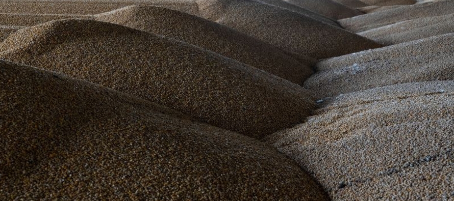Los agricultores ucranianos sembraron unos 4,2 millones de hectáreas de trigo de invierno...