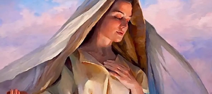 María es la mediadora universal de todas las gracias y dones divinos que tan necesarios nos...