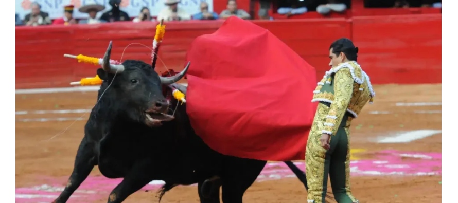 Una jueza ordenó suspender nuevamente las corridas de toros en Ciudad de México...