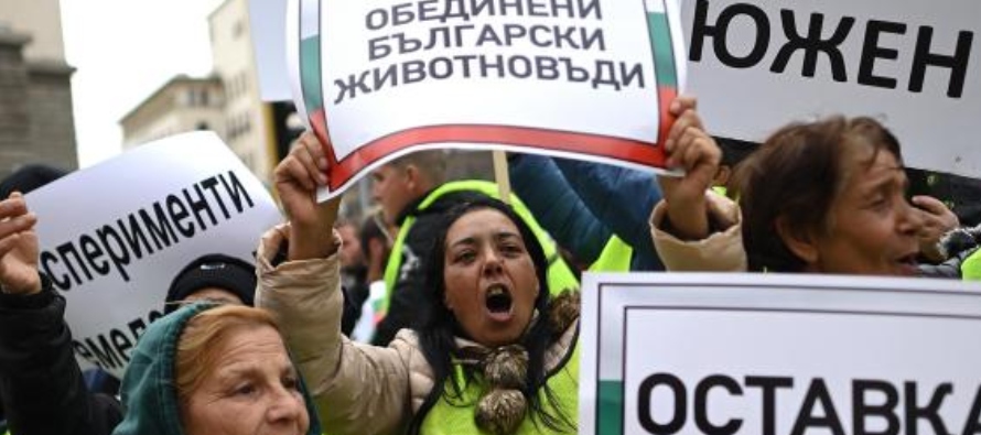 El Gobierno búlgaro señaló la semana pasada que está en condiciones de...