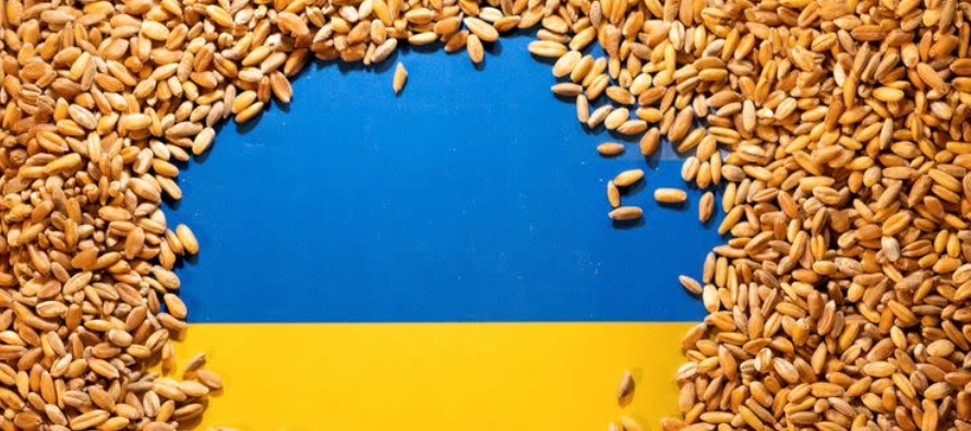 El Consejo Agrario afirmó que Ucrania aún disponía de unos 17 millones de...