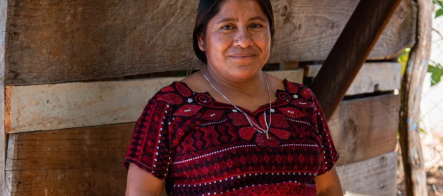 En Chiapas únicamente están reconocidas 12 lenguas mayenses: jacalteco, mam, tzotzil,...