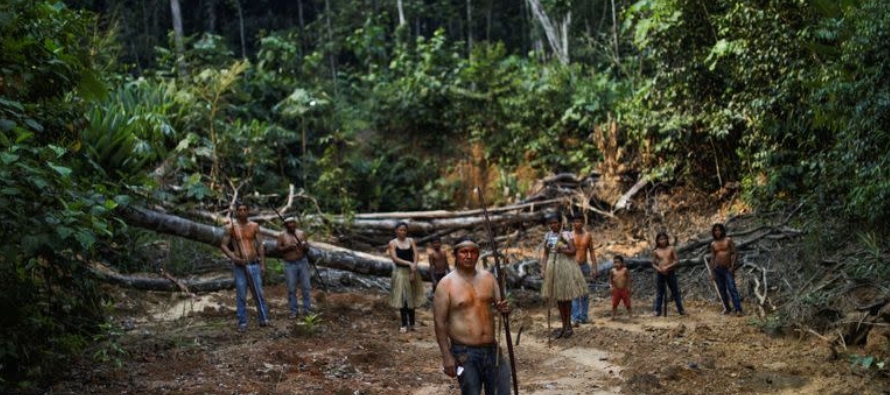 La deforestación alimenta el cambio climático y es la mayor fuente de emisiones de...