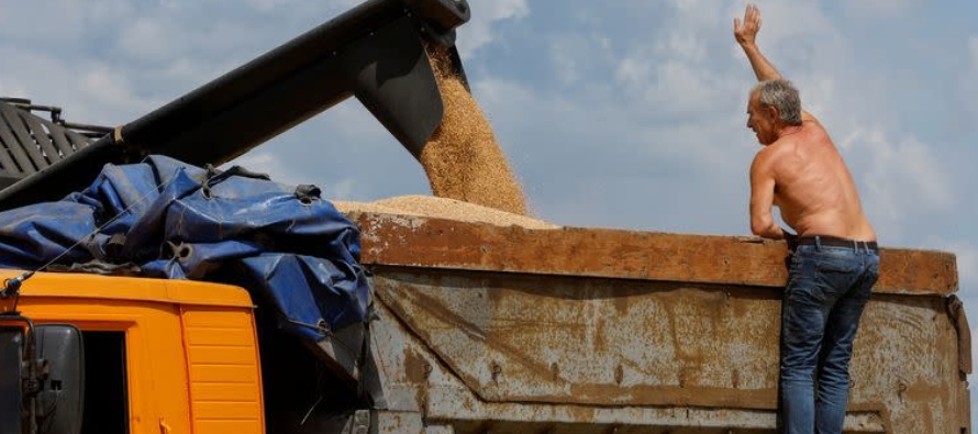 Sovecon redujo esta semana su previsión de cosecha de trigo a 80,7 millones de toneladas. En...