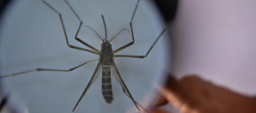 El análisis prevé que en México la expansión del dengue será...