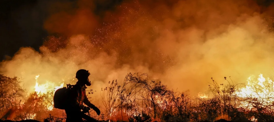 De acuerdo con el Gobierno, los incendios que azotan al humedal han sido ocasionados "todos...