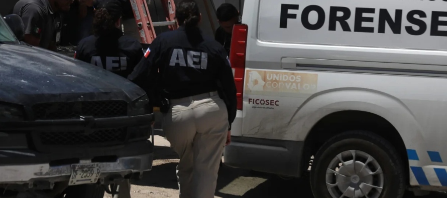 ONG documenta 31 asesinatos políticos en México en junio y 15 candidatos electos atacados