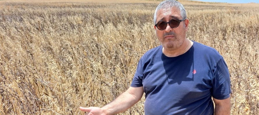 El centro-sur de Italia podría no tener agua para la agricultura en 3 semanas, alerta una entidad