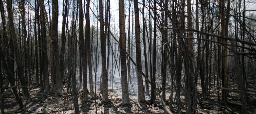 La probabilidad de megaincendios en el futuro (2090) dependerá de cómo se empeore o...