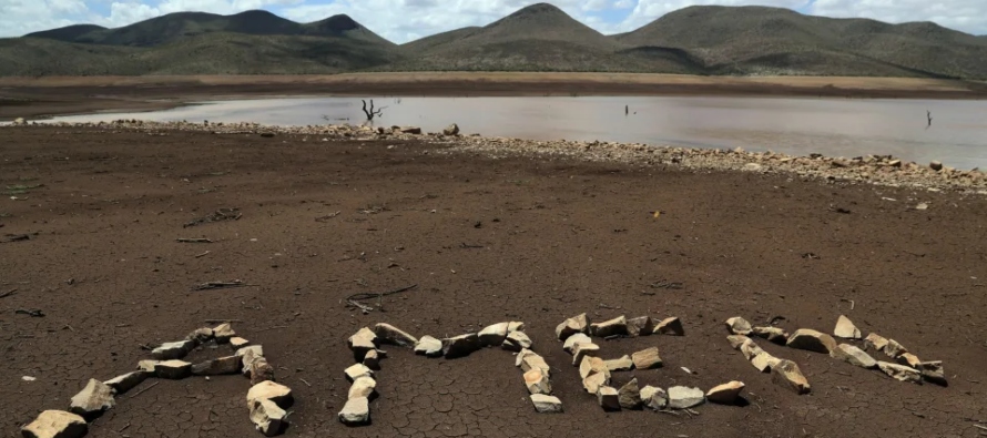 Además, algunos ganaderos reportan la aparición de ganado muerto en sus tierras,...