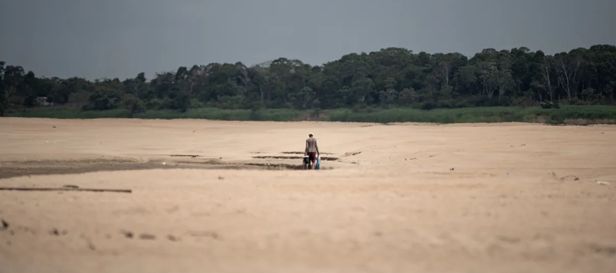 El nivel del propio río Amazonas alcanzó sus menores niveles históricos en las...