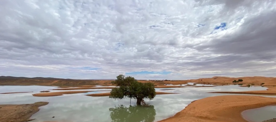 "La rehabilitación del lago Iriqui es uno de nuestros objetivos primordiales por su...