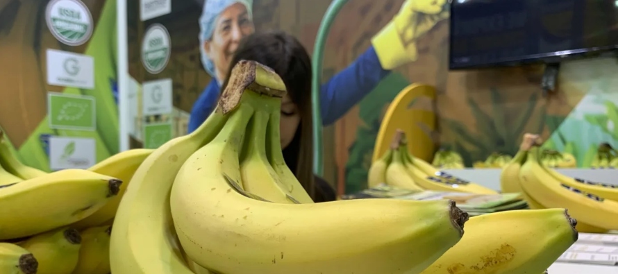 Industria bananera de Latinoamérica aborda en Ecuador retos como precios bajos de Europa