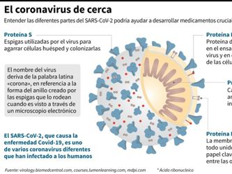 Se intensifica la carrera mundial para encontrar una vacuna contra el coronavirus